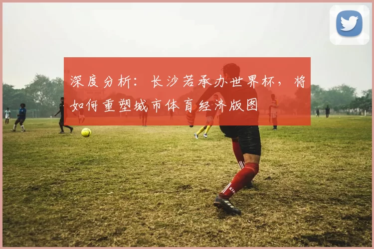 深度分析:长沙若承办世界杯,将如何重塑城市体育经济版图