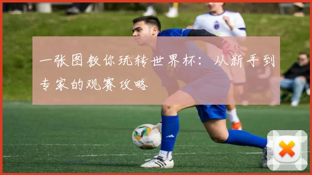 一张图教你玩转世界杯:从新手到专家的观赛攻略