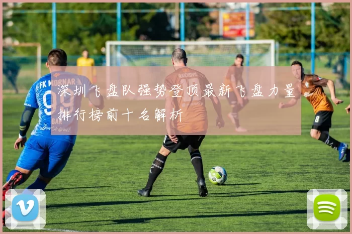深圳飞盘队强势登顶最新飞盘力量排行榜前十名解析