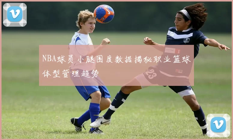 NBA球员小腿围度数据揭秘职业篮球体型管理趋势