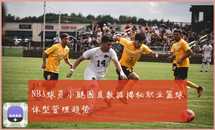 NBA球员小腿围度数据揭秘职业篮球体型管理趋势