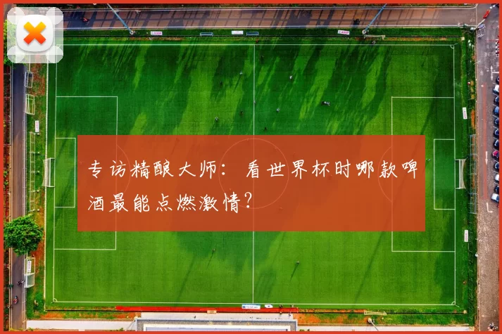 专访精酿大师:看世界杯时哪款啤酒最能点燃激情?