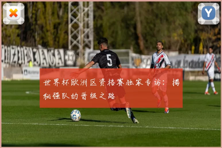 世界杯欧洲区资格赛独家专访:揭秘强队的晋级之路