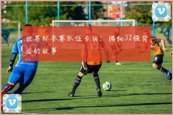 世界杯参赛队伍专访：揭秘32强背后的故事