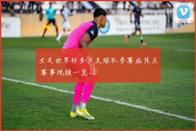 女足世界杯多少支球队参赛成焦点 赛事规模一览_1