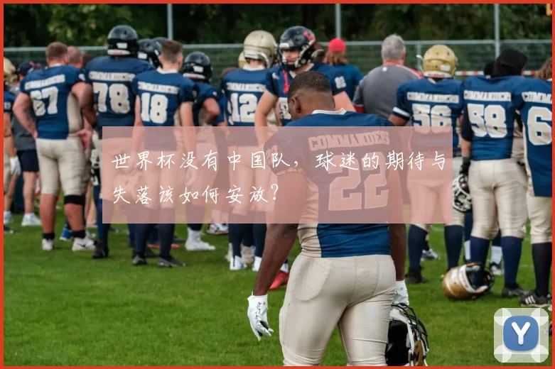 世界杯没有中国队，球迷的期待与失落该如何安放？