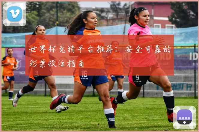世界杯竞猜平台推荐:安全可靠的彩票投注指南