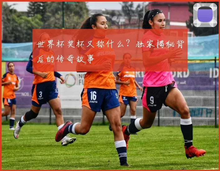 世界杯奖杯又称什么？独家揭秘背后的传奇故事