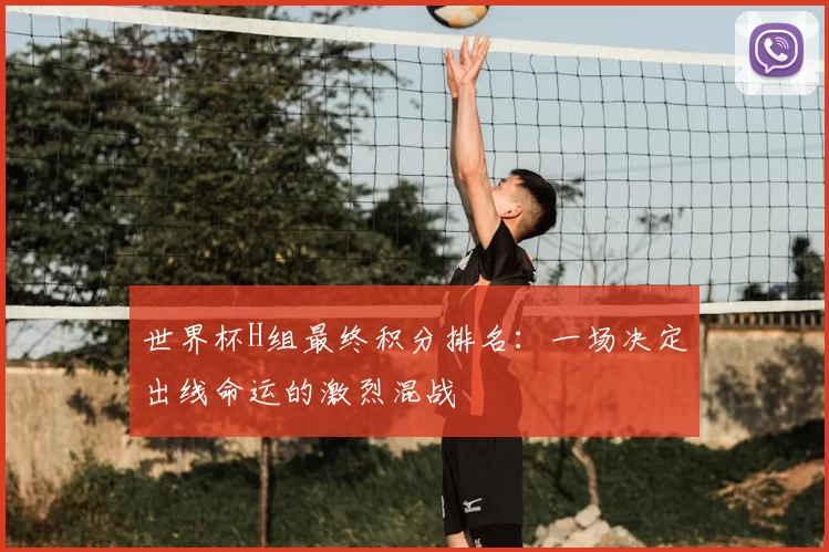 世界杯H组最终积分排名：一场决定出线命运的激烈混战