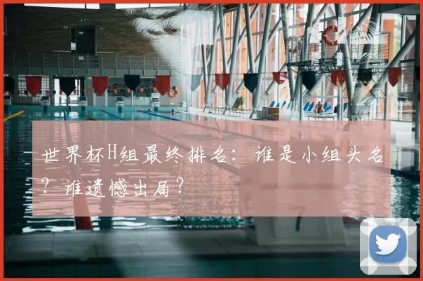 世界杯H组最终排名:谁是小组头名?谁遗憾出局?