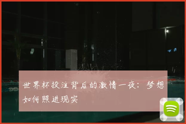 世界杯投注背后的激情一夜:梦想如何照进现实