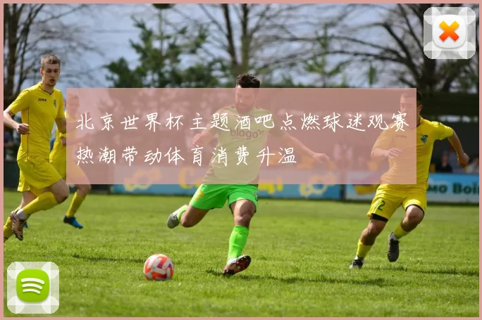 北京世界杯主题酒吧点燃球迷观赛热潮带动体育消费升温