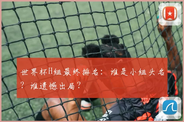 世界杯H组最终排名:谁是小组头名?谁遗憾出局?