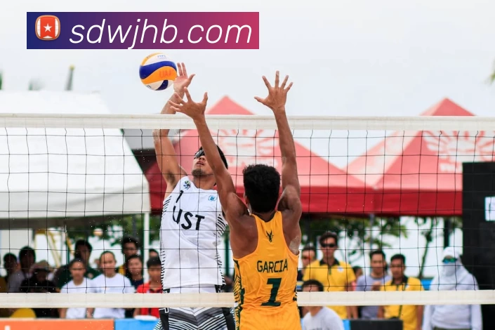 CBA历届总冠军FMVP得主统计分析与职业生涯轨迹